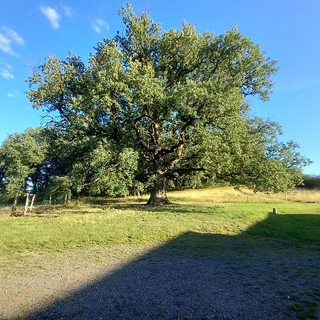 Отель La Tuilerie Pindray Экстерьер фото