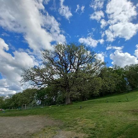 Отель La Tuilerie Pindray Экстерьер фото