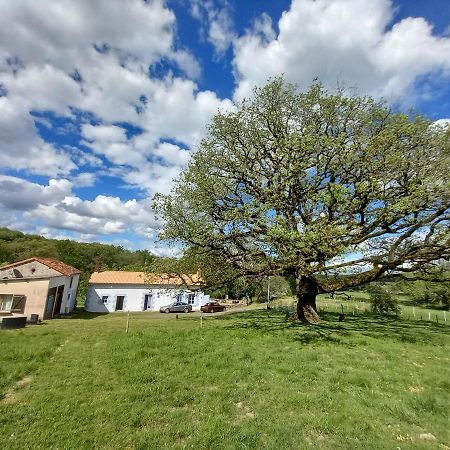 Отель La Tuilerie Pindray Экстерьер фото